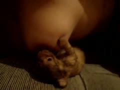 Tiny animal xxx with a busty whore in the living room